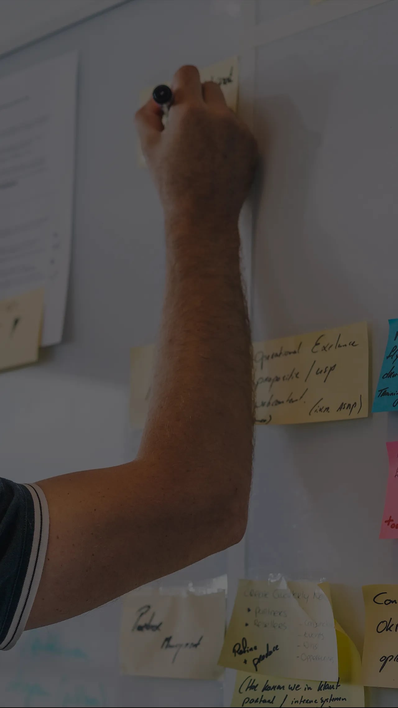 Organisatie Coaching door This is Performance biedt de oplossing